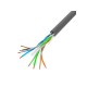 Network cable Lanberg Grey 100 m Cat6 U/UTP