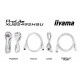 iiyama 24 IPS technology panel with 150mm height adjustable stand and 100Hz refresh rate