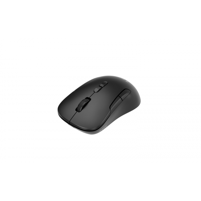 Gembird MUSW2-7B-01 Dual-mode wireless mouse (2.4G + BT), 1600 DPI, 7-button, black