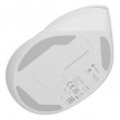 NATEC Crake 2 mouse Universal Right-hand RF Wireless + Bluetooth Optical 2400 DPI NATEC Crake 2 mouse Universal Right-hand RF Wireless + Bluetooth Optical 2400 DPI