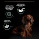 PURINA Pro Plan Sensitive Digestion Small & Mini Adult Lamb - dry dog food - 700g