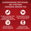 PURINA One Adult Medium/Maxi Monoprotein Rich in turkey - dry dog food - 2,5kg