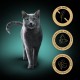 SHEBA Nature's Collection Poultry Flavors in jelly - wet cat food - 40 x 85g SHEBA Nature's Collection Poultry Flavors in jelly - wet cat food - 40 x 85g