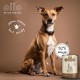 OLLO Pure Deer wet dog food 850 g OLLO Pure Deer wet dog food 850 g