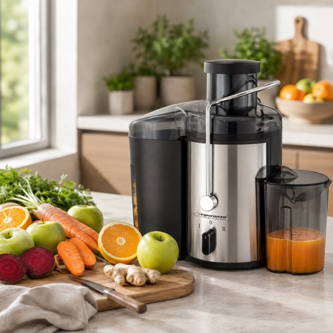 Esperanza EKJ002 juice maker Black,Stainless steel 500 W