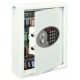 Phoenix Safe Co. Cygnus KS0032E Metal White