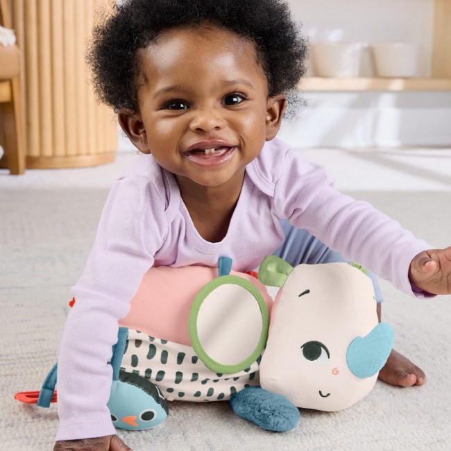 Fisher-Price Planet Friends Tummy Time Roaming Rhino Plush Sensory Toy for Newborn Babies Fisher-Price Planet Friends Tummy Time Roaming Rhino Plush Sensory Toy for Newborn Babies