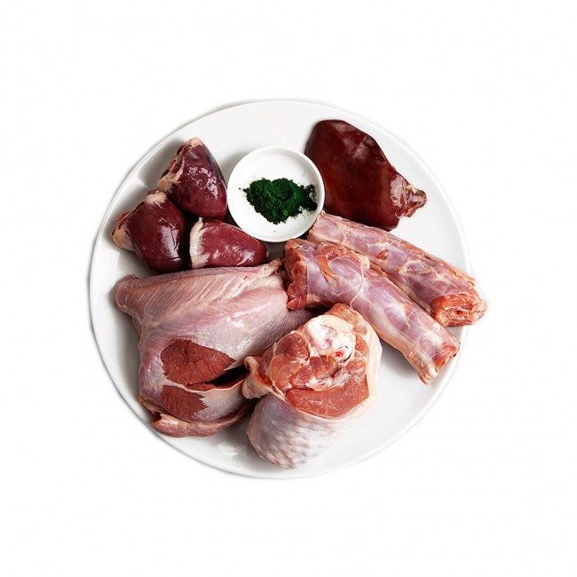 3COTY Turkey with spirulina - wet cat food - 80g