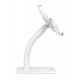 Manhattan Desktop Kiosk Stand (Anti theft) for Tablet and iPad, Universal, 360 Rotation, Tilt +20 to -110 , White, Lockable, Countertop Holder for 7.9