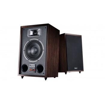 Magnat Transpuls 800A active speaker set (2 pcs)