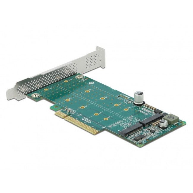 Delock PCIe x8 to 2 x NVMe M.2 Key M Card Delock PCIe x8 to 2 x NVMe M.2 Key M Card
