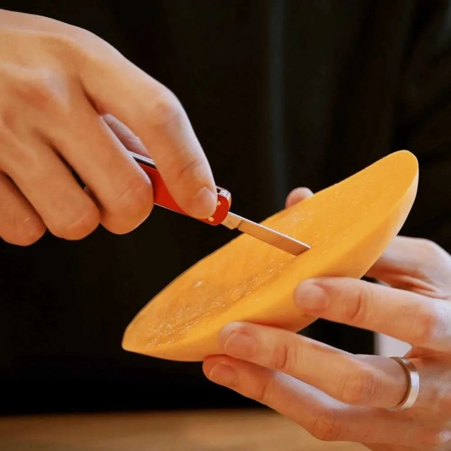 NexTool Mini Pocket Knife NE0142 4-in-1 red