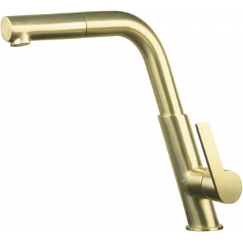 Kitchen faucet with pull-out spout