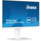 iiyama ProLite 24 IPS technology panel with height adjustable stand and 100Hz refresh rate
