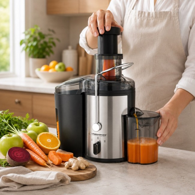 Esperanza EKJ002 juice maker Black,Stainless steel 500 W