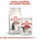 Royal Canin Senior Ageing Sterilised 12+ cats dry food 4 kg Corn, Poultry, Vegetable Royal Canin Senior Ageing Sterilised 12+ cats dry food 4 kg Corn, Poultry, Vegetable