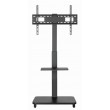 Gembird TVS-75S-02 TV floor stand with caster wheels, 37