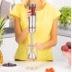 Zelmer ZHB4650 VARIO 0.7 L Immersion blender 1400 W Metallic, Red Zelmer ZHB4650 VARIO 0.7 L Immersion blender 1400 W Metallic, Red