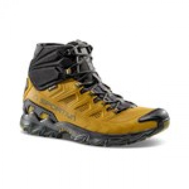 Shoes Ultra Raptor II GTX Savana/Mountain 42