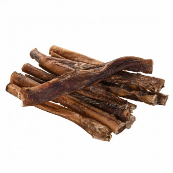 PETITTO Beef pizzle - dog treat - 10