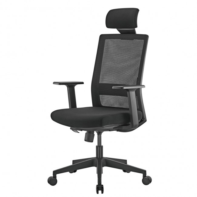 Premium Ergonomic Office Chair with High Back Ergo Office, max 150kg, ER-425