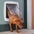 FERPLAST Swing 11 grey - dog and cat door - 31 x 9.6 x 38.4 cm