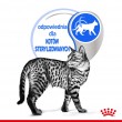 ROYAL CANIN FHN Indoor jelly - wet food for adult cats - 12x85g