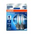 Bulb (Set of 2) D4S 42V 35W P32D-5 Cool Blue Intense NextGen 6200K