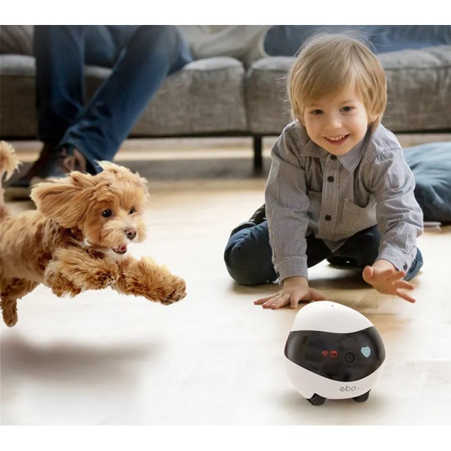 Enabot EBO SE Robot IP Camera Compact N/A MP N/A 16GB external memory, support 256GB at maximum