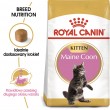 ROYAL CANIN Maine Coon Kitten- dry cat food - 4 kg