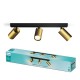 Philips Idris Ceiling/Wall Spotlight 3x