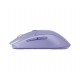 Steelseries 62525 mouse Gaming Right-hand RF Wireless + Bluetooth Optical 18000 DPI
