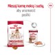ROYAL CANIN Adult Medium - dry dog food - 4kg