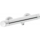 Wall-mounted shower faucet