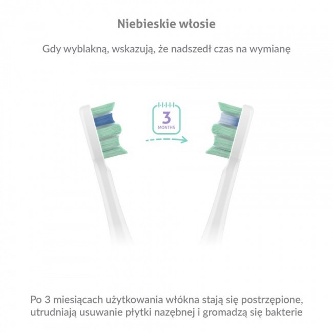 TrueLife SonicBrush Clean30 Duo Sonic Toothbrush