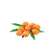 SHELMA Rich in turkey in sauce - wet cat food - 85g SHELMA Rich in turkey in sauce - wet cat food - 85g