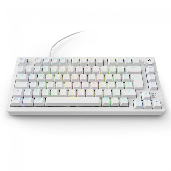 Sharkoon SGK25 keyboard Home USB QWERTZ German White