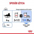 ROYAL CANIN FHN Indoor jelly - wet food for adult cats - 12x85g