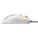 Glorious PC Gaming Race Model O- mouse Right-hand USB Type-A Optical 3200 DPI
