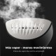 AENO GS1 Steam brush 0.25 L 1500 W Black, Grey, Transparent AENO GS1 Steam brush 0.25 L 1500 W Black, Grey, Transparent