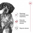 ROYAL CANIN Medium Loaf - wet dog food - 410g
