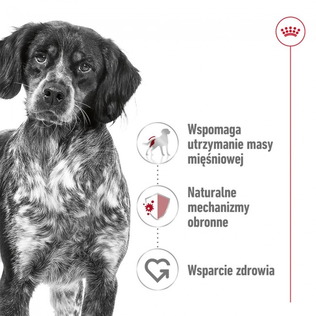 ROYAL CANIN Medium Loaf - wet dog food - 410g