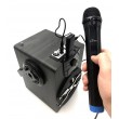 Wireless karaoke microphones ACCENT PRO MT395 Wireless karaoke microphones ACCENT PRO MT395