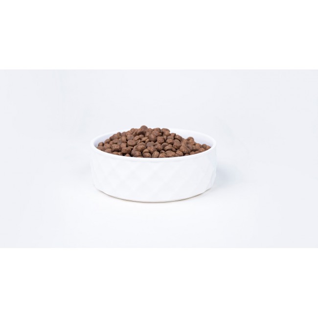 BULT Turkey - dry dog food - 12kg