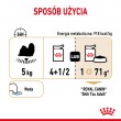 ROYAL CANIN Shih Tzu Adult Wet dog food P t 12x85 g
