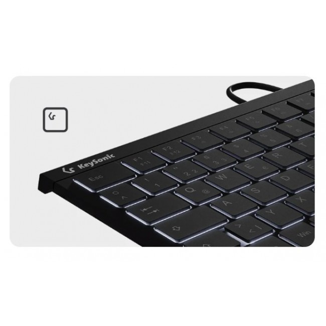 KeySonic KSK-5011ELC (DE) keyboard Home USB QWERTZ German Black