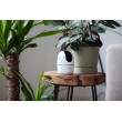 Imou A1 4MP Spherical IP security camera Indoor 2560 x 1440 pixels Ceiling/wall