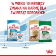 ROYAL CANIN Puppy Mini - dry dog food - 8 kg ROYAL CANIN Puppy Mini - dry dog food - 8 kg