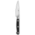 Zwilling Pro Fruit and Vegetable Knife - 10 cm