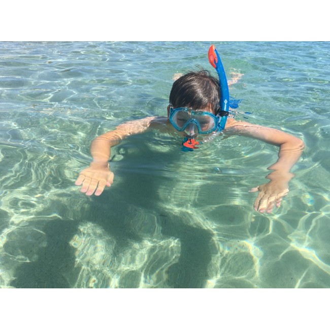 Schildkr t Funsports Barbados Schildkr t Funsports Barbados